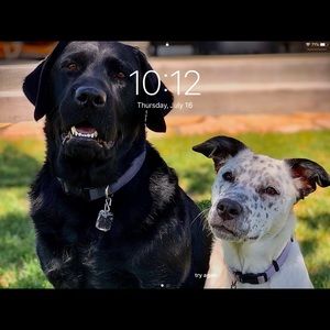 Meet your Posher, Barrett